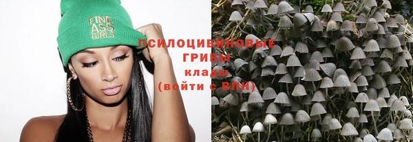 дживик Киреевск