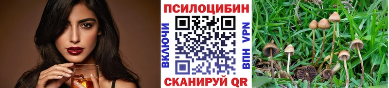 Псилоцибиновые грибы GOLDEN TEACHER  Купить  Нижнекамск
