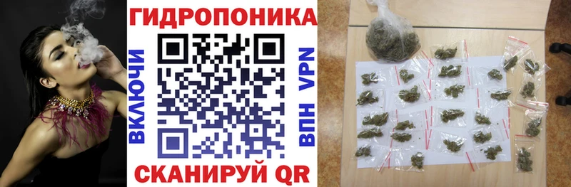 Шишки марихуана конопля Нижнекамск